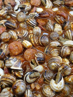 Caracoles para llevar, Vedegust